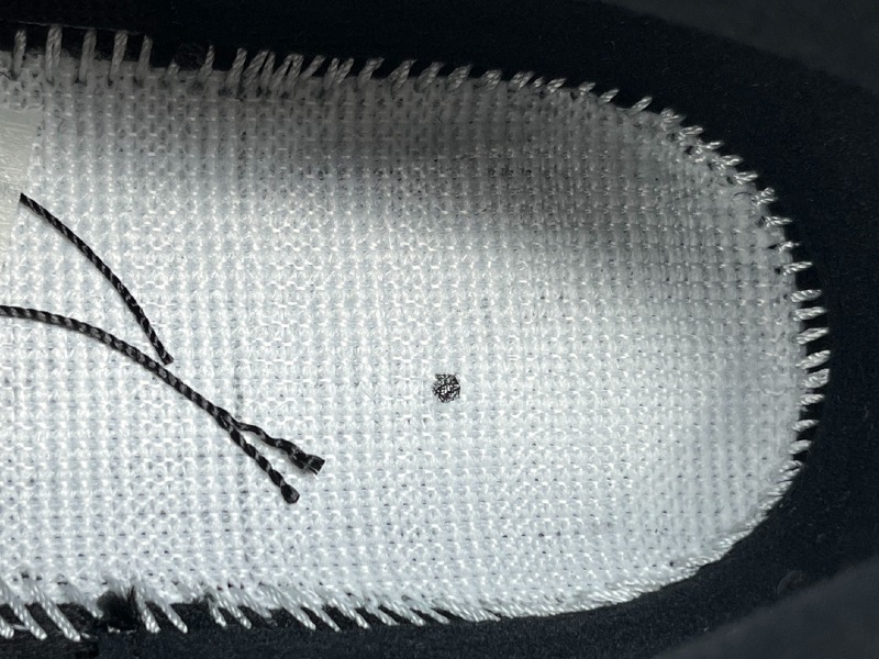 wsxc1743245938011_8.jpg